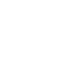 INNOVIS