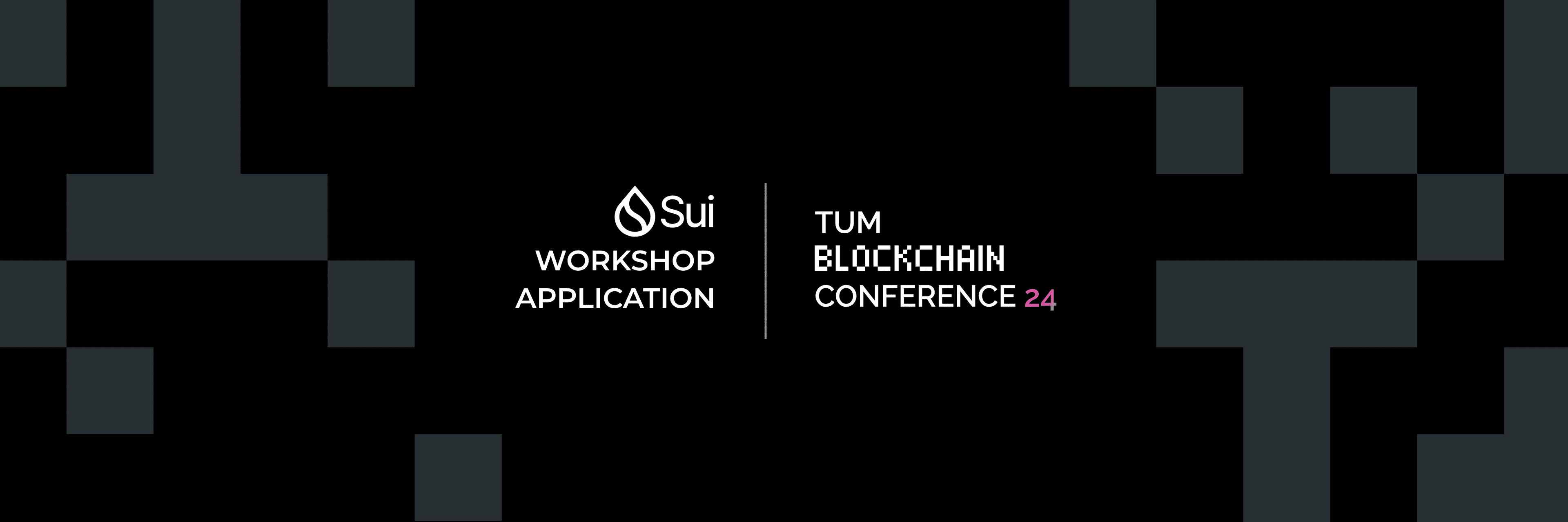 SUI Developer Workshop